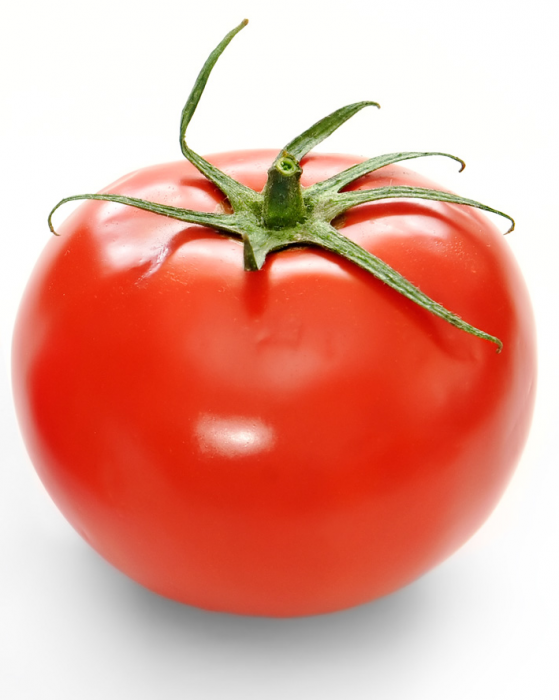 fish_tomato.png